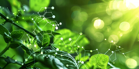  Nature’s Blueprint: The Role of Molecular Biology in Understanding Green Plants and Their Biological Processes