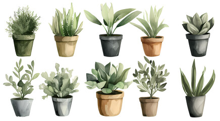 Fototapeta premium Collection of digitally illustrated green plants, showcasing various types of succulents in pots. A soft, watercolor technique, botanical theme.