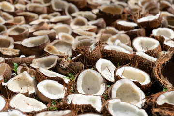 Noix de coco fraîches coupées en deux