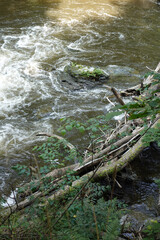 River Bode In the Bode Gorge - Bodetal In German Language - In The Harz Mountains In Germany