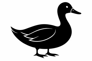 A duck vector illustration silhouette 