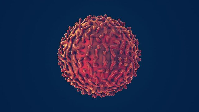 Simian Orth poxvirus Causing Monkeypox Disease