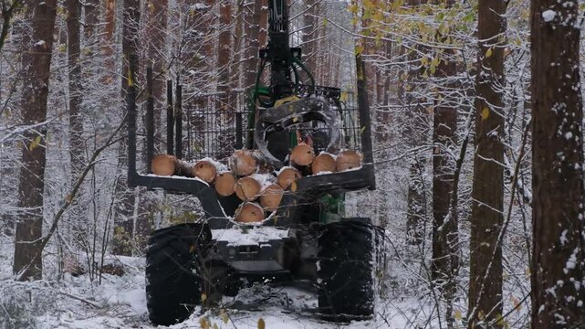 Logging machine, a forwarder, drives down the road, loaded with trees.