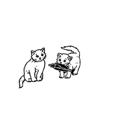 A pair of cats feeding