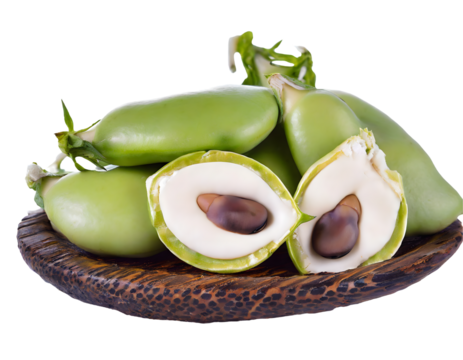 Fresh fava beans on a isolated on white backgroun. Generative AI.