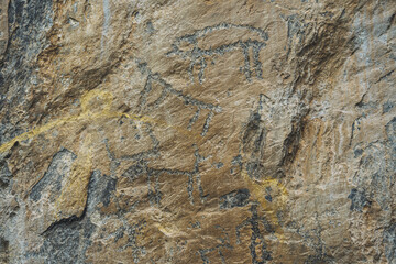 Ancient petroglyphs etched into a rocky surface showcase the rich cultural history of the Altai Mountains in a natural wilderness setting petroglyph, rock painting