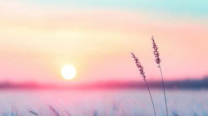 A serene landscape at sunset with soft pastel colors and tall grass swaying gently in the breeze, creating a tranquil atmosphere.