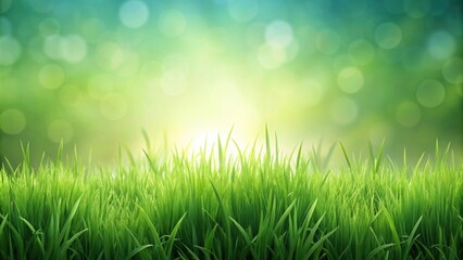 Obraz premium Background of grass on background, nature, plant, green, lawn, backdrop, isolated, texture, field, landscape, organic
