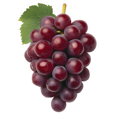 Fototapeta premium [Transparent Background PNG]Fresh Red Grapes with a Single Leaf