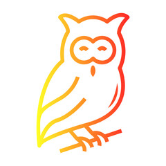 owl