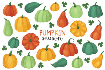 Collection of different autumn pumpkins. Orange, yellow and green pumpkin and squash. October, fall, harvest time. Autumn vegetables.