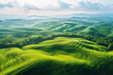 Fototapeta premium rolling hills with green fields