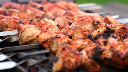 Close-up of sizzling kebabs on skewers grilling over an open flame. Perfect for showcasing outdoor cooking and barbecue flavors.