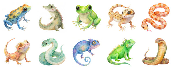 Fototapeta premium Reptiles and amphibians in detailed watercolor illustration set. Each creature is with vibrant colors and isolated on transparent background.
