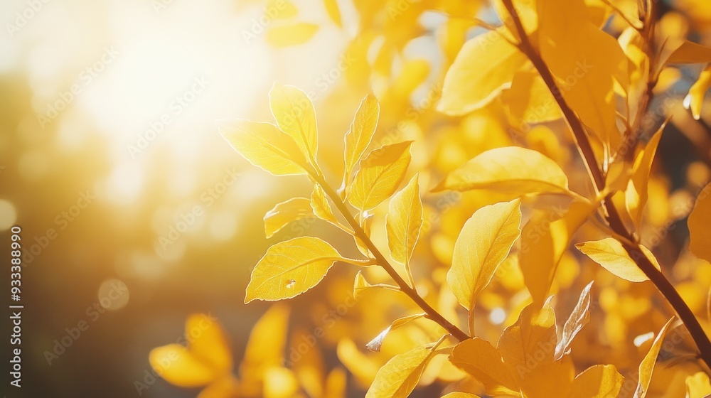 Sticker A close up of a yellow leafy plant with sun shining through, AI