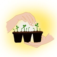 illustration of hand holding plant and soil on the pot.