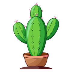 cactus plant vector illustration