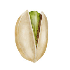 Pistachio watercolor. Hand drawn nut with shell isolated on white background. Realistic snack clip art. Ideal for logo, product packaging, banner