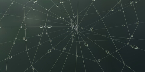 Spider Web strings with water drop along with hunter wellies green background
