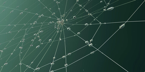 Spider Web strings with water drop along with hunter wellies green background