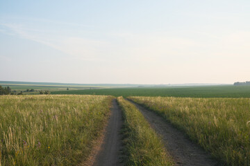 Fototapeta premium A scenic dirt path winds through lush, vibrant green fields, all beneath a clear, blue sky