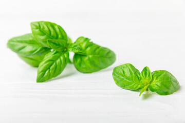 Green basil leaves on a textured wooden background. Kitchen herbs, spices. Fresh green organic basil. Vegan. Greens for salad. Place for text. Copy space.