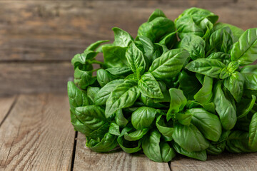 Green basil leaves on a textured wooden background. Kitchen herbs, spices. Fresh green organic basil. Vegan. Greens for salad. Place for text. Copy space.