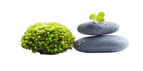 [Transparent Background PNG]Green Moss and Stacked Stones on White Background