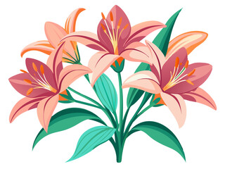 Lily illustration, Lily flower vector art, Lily flower illustration, Lily vector,  illustration of Lily isolated on white