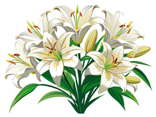 Lily illustration, Lily flower vector art, Lily flower illustration, Lily vector,  illustration of Lily isolated on white