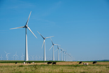 Rolling Meadows and Majestic Windmills Under a Bright Dutch Sky