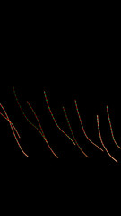 Video Overlay Spezial Effekt Feuerwerk Konfetti Digital Glow Story Hintergrund Jubiläum 