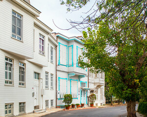 historical rural wood siding houses standing on the road, prince islands, adalar, istanbul