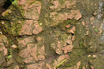 Beautiful bright and unusual natural backgrounds made of large stones with deep cracks, water, green plants with a yellow squeak.