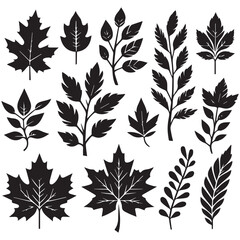 Silhouette leaves icon set , Abstract botanical flower icon. vector botany floral design.	
