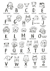Funny dog heads breed collection illustrations line alphabet.