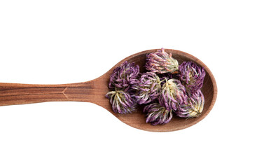 Flat lay view of dried Trifolium pratense the red clover flower heads on wood spoon against white background. Herbal medicine plant.