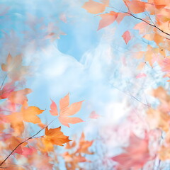 sky through autumn leaves