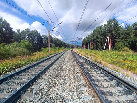 Double track railway passing through dense forest