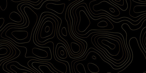 Topology and topography vector clean format contour map texture 