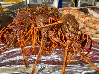 Fresh Lobsters on Ice at Seafood Market Display in France