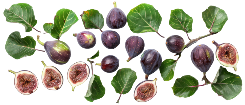 Set of isolated Figs, figs split in half, fig tree branches and on transparent background. cut flower elements, garden themed designs. Top view high quality PNG." design elements, top view / flat lay