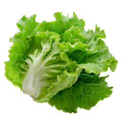 Lettuce isolated on a transparent background