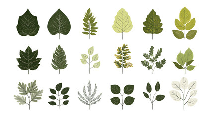 Minimalistic illustration collection of different green leaves and plants isolated on white background