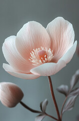  Close up photo of an anemone petal in soft pastel