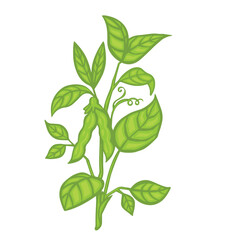 Stem of soybean with leaves and pods cartoon style vector