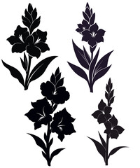 Set of black silhouettes of decorative fresh blossoming gladiolus flowers. Line Art Icon - Logo Clipart Design