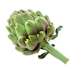 Obraz premium [Transparent Background PNG]Fresh Green Artichoke Isolated on White Background