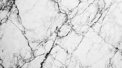 Obraz premium Elegant black and white marble texture with intricate veining