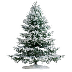 Fototapeta premium [Transparent Background PNG]Snow Covered Pine Tree Isolated on White Background